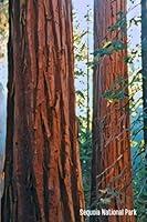 Algopix Similar Product 16 - Sequoia National Park Journal A 69