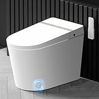 Algopix Similar Product 6 - EPLO Smart Toilet BidetAuto OpenClose