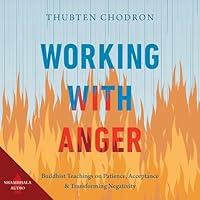 Algopix Similar Product 19 - Working with Anger Buddhist Teachings
