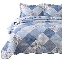 Algopix Similar Product 13 - Bedsure 2Piece Printed Quilt Set Twin