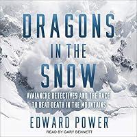 Algopix Similar Product 7 - Dragons in the Snow Avalanche