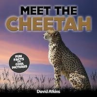 Algopix Similar Product 17 - Meet The Cheetah Fun Facts  Cool