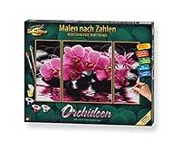 Algopix Similar Product 4 - Schipper Adult Paint by Number