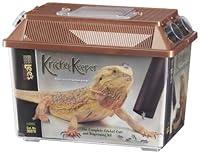 Algopix Similar Product 7 - Lees Kricket Keeper LargeApple184