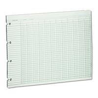 Algopix Similar Product 13 - Wilson Jones G1020 Accounting Sheets