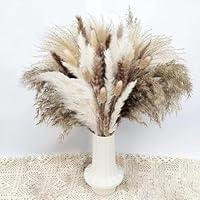 Algopix Similar Product 2 - Natural Dried Pampas Grass 110 PCS