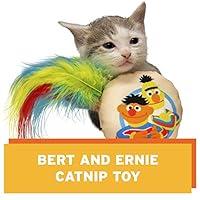 Algopix Similar Product 5 - Pet Krewe Catnip Toy Sesame Street