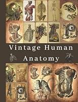 Algopix Similar Product 16 - Vintage Human Anatomy 124 images