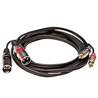 Algopix Similar Product 18 - Seismic Audio  SAXFRM2x5  Dual XLR