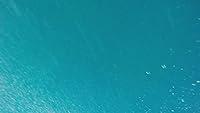 Algopix Similar Product 2 - Find the Flipper