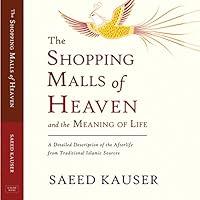Algopix Similar Product 3 - The Shopping Malls of Heaven and the