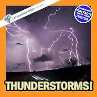 Algopix Similar Product 4 - Thunderstorms A My Incredible World