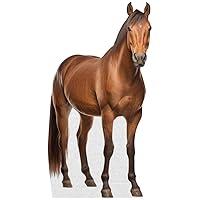 Algopix Similar Product 3 - Horse  Life Size Cardboard Cutout