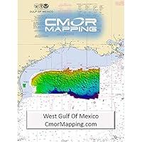 Algopix Similar Product 2 - CMOR Mapping WGOM001R HighResolution