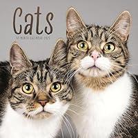 Algopix Similar Product 3 - 2025 Cats Wall calendar