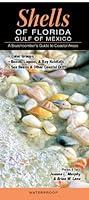 Algopix Similar Product 12 - Shells of FloridaGulf of Mexico A
