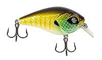 Algopix Similar Product 14 - Googan Squad MiniBanger Crankbait  2