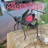 Algopix Similar Product 16 - Migraine  52  Grasshopper 00_31_02 to
