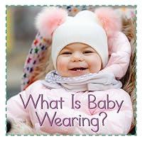 Algopix Similar Product 18 - What Is Baby Wearing? (Baby Firsts)