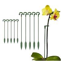 Algopix Similar Product 20 - 10Pcs Plant Support Stake Adjustable