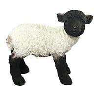 Algopix Similar Product 5 - Vivid Arts Real Life Lamb  BlackWhite
