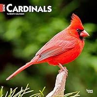 Algopix Similar Product 19 - Cardinals  2024 12 x 24 Inch Monthly