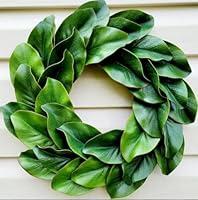 Algopix Similar Product 19 - Magnolia wreath