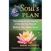 Algopix Similar Product 4 - Your Souls Plan Discovering the Real