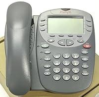 Algopix Similar Product 15 - Avaya 4610SW IP Phone 700381957