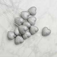 Algopix Similar Product 18 - 24 Sparkling Silver Glitter Covered