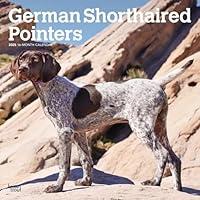 Algopix Similar Product 10 - German Shorthaired Pointers 2025 12 X