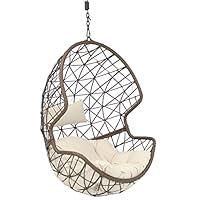 Algopix Similar Product 14 - Sunnydaze Danielle Hanging Egg Chair 