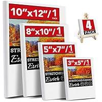 Algopix Similar Product 20 - 4 Packs Stretched Canvases for Painting