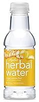 Algopix Similar Product 7 - Ayalas Herbal Water Ginger Lemon