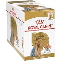 Algopix Similar Product 9 - Royal Canin Yorkshire Terrier Adult