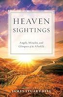 Algopix Similar Product 2 - Heaven Sightings Angels Miracles and