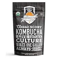 Algopix Similar Product 19 - Fermentaholics Kombucha SCOBY  Starter