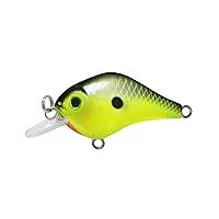 Algopix Similar Product 5 - BILL LEWIS Gnat MicroCrankbait