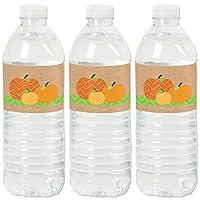 Algopix Similar Product 1 - Big Dot of Happiness Pumpkin Patch 