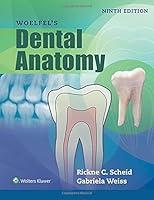 Algopix Similar Product 13 - Woelfels Dental Anatomy
