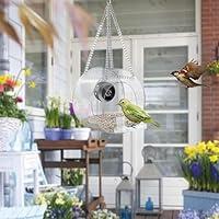 Algopix Similar Product 15 - Smart Bird Feeder with Camera  Bird