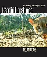 Algopix Similar Product 13 - Candid Creatures