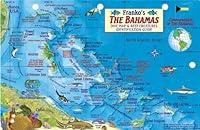 Algopix Similar Product 19 - Bahamas Map  Reef Creatures Guide