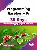 Algopix Similar Product 14 - Programming Raspberry Pi in 30 Days