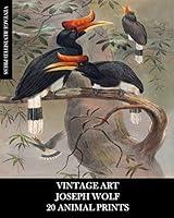 Algopix Similar Product 13 - Vintage Art Joseph Wolf 20 Animal