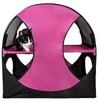 Algopix Similar Product 14 - PET LIFE KittyPlay Collapsible