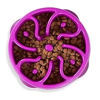 Algopix Similar Product 9 - Outward Hound Fun Feeder Slo Bowl Slow