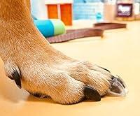 Algopix Similar Product 9 - Dr McHenrys Dog Toe Treads Set of 24