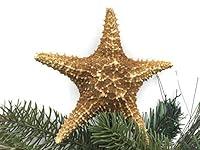 Algopix Similar Product 10 - Caribbean Starfish Christmas Tree Topper