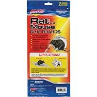 Algopix Similar Product 5 - PIC GRT2F Glue Rat Boards (24 Pack of 2)